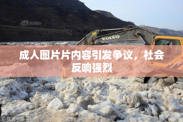 成人图片片内容引发争议，社会反响强烈