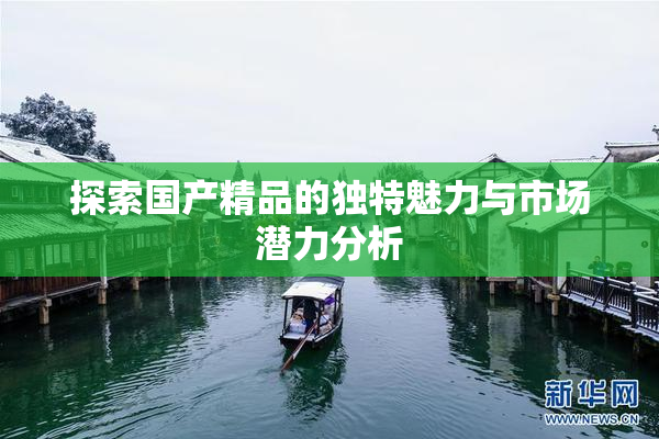 探索国产精品的独特魅力与市场潜力分析