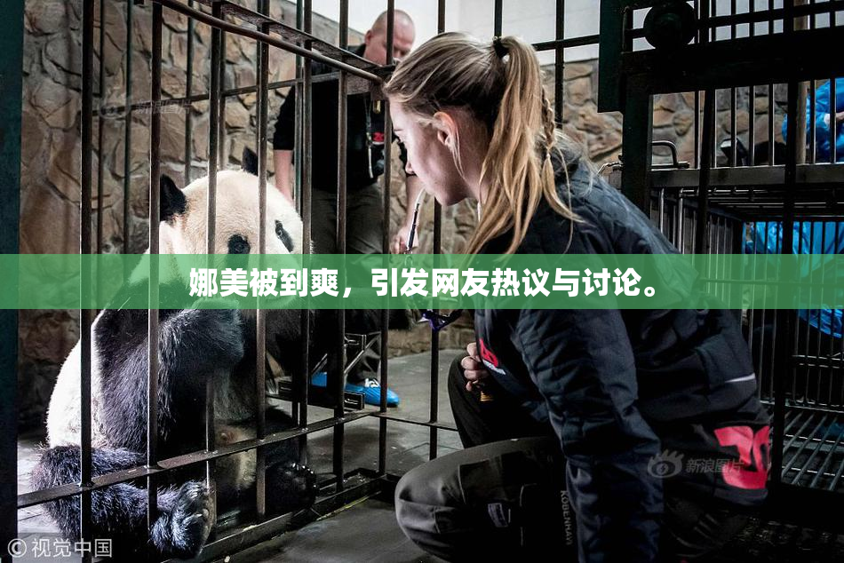 娜美被到爽，引发网友热议与讨论。
