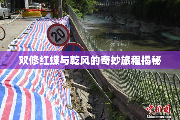 双修红蝶与乾风的奇妙旅程揭秘