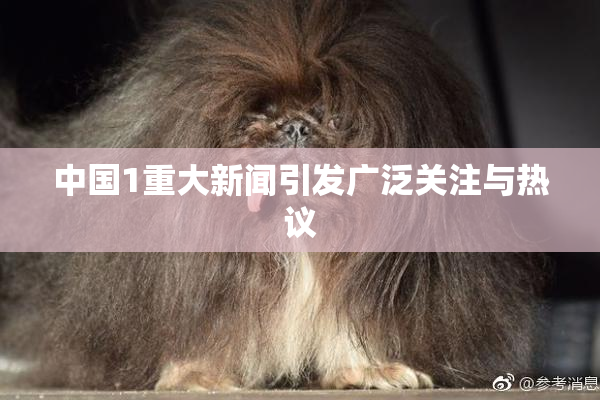 中国1重大新闻引发广泛关注与热议