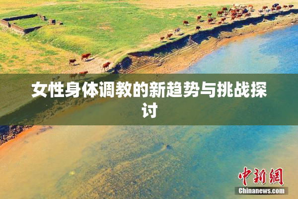 女性身体调教的新趋势与挑战探讨