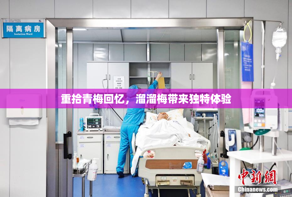 重拾青梅回忆，溜溜梅带来独特体验