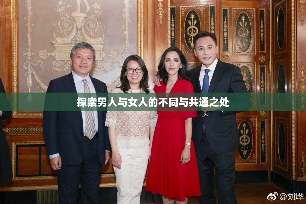 探索男人与女人的不同与共通之处