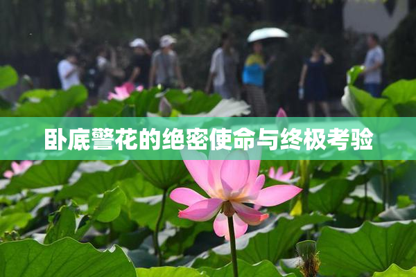 卧底警花的绝密使命与终极考验