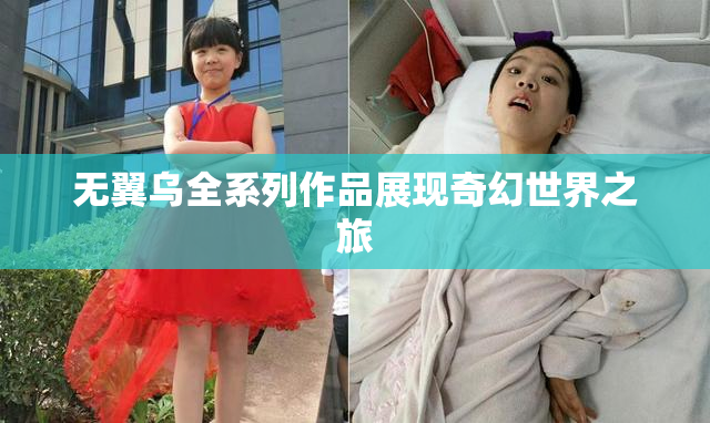 无翼乌全系列作品展现奇幻世界之旅