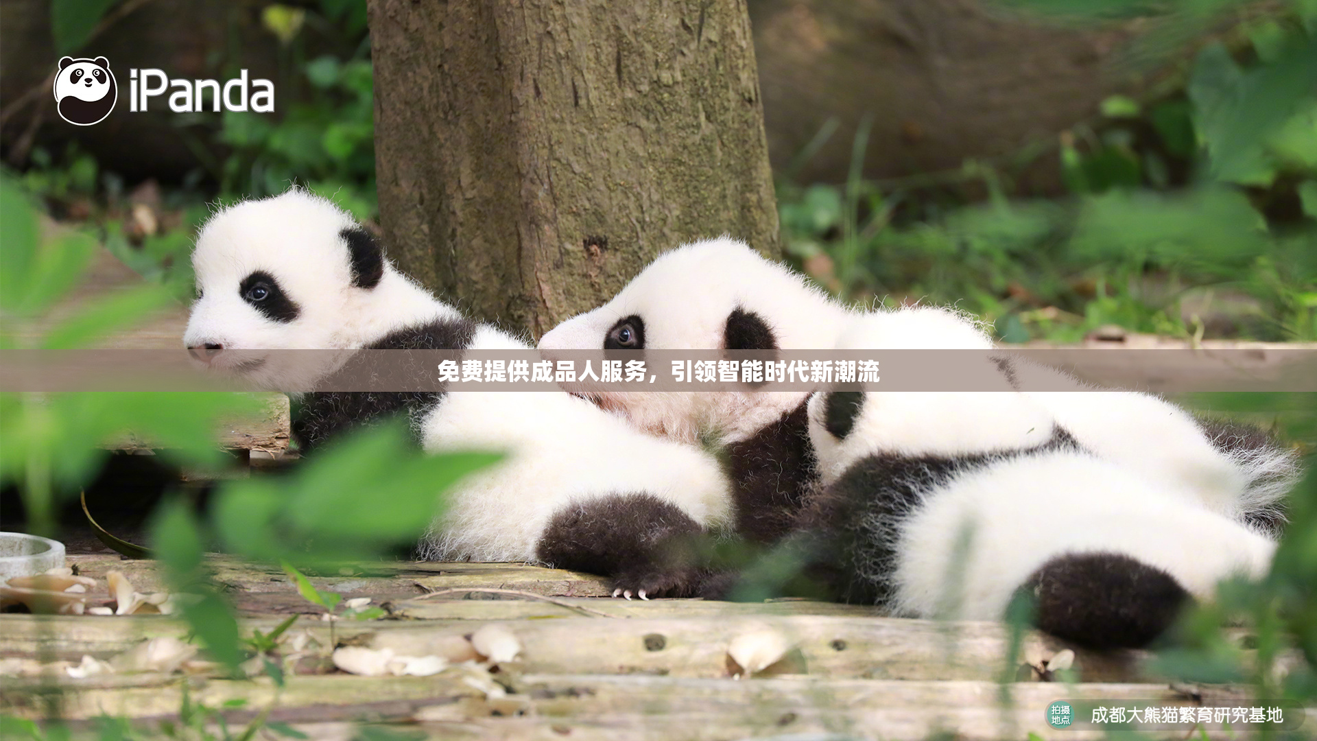 免费提供成品人服务，引领智能时代新潮流