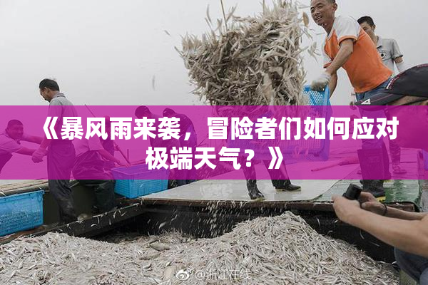 《暴风雨来袭，冒险者们如何应对极端天气？》