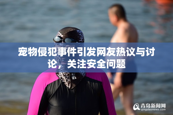 宠物侵犯事件引发网友热议与讨论，关注安全问题