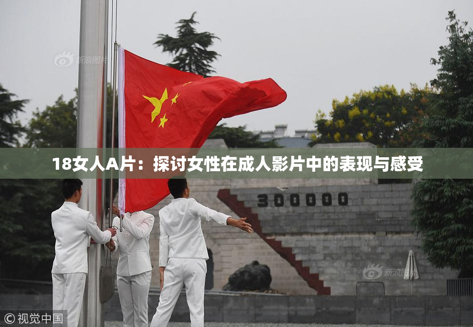18女人A片：探讨女性在成人影片中的表现与感受