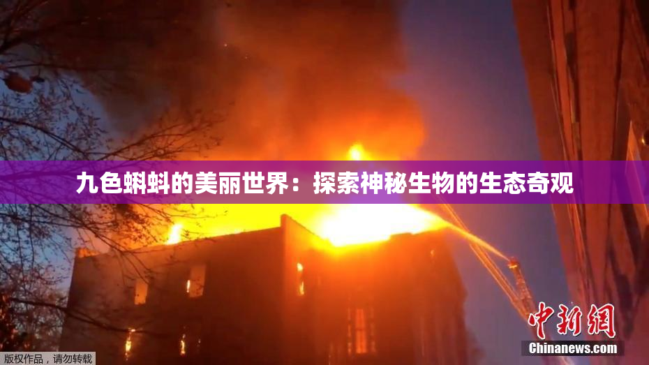 九色蝌蚪的美丽世界：探索神秘生物的生态奇观