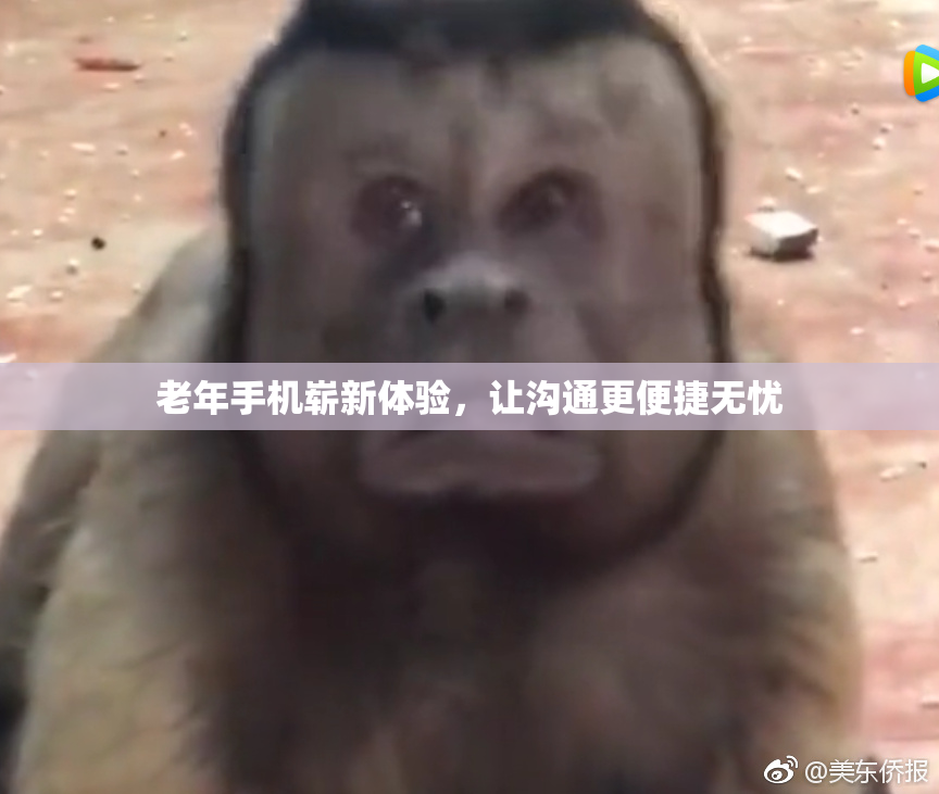 老年手机崭新体验，让沟通更便捷无忧