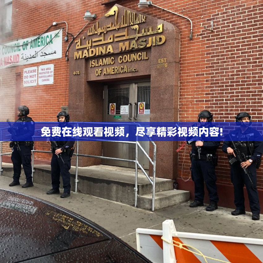 免费在线观看视频，尽享精彩视频内容!