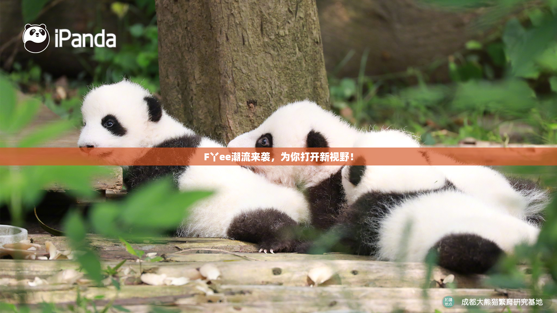 F丫ee潮流来袭，为你打开新视野！