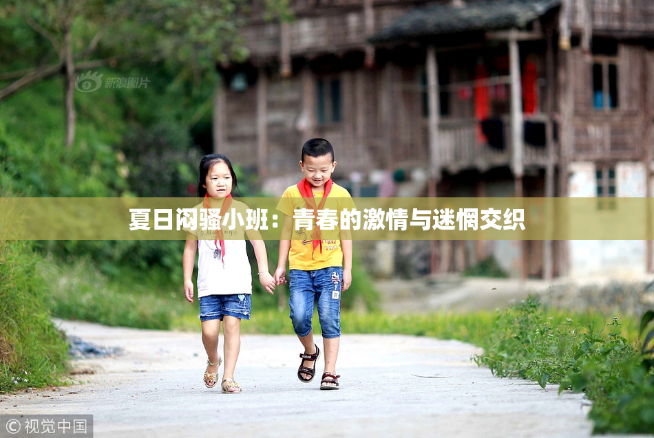 夏日闷骚小班：青春的激情与迷惘交织