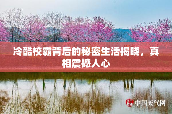 冷酷校霸背后的秘密生活揭晓，真相震撼人心