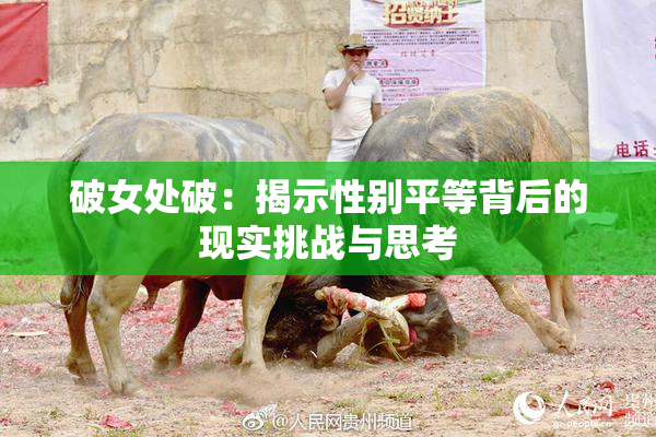 破女处破：揭示性别平等背后的现实挑战与思考