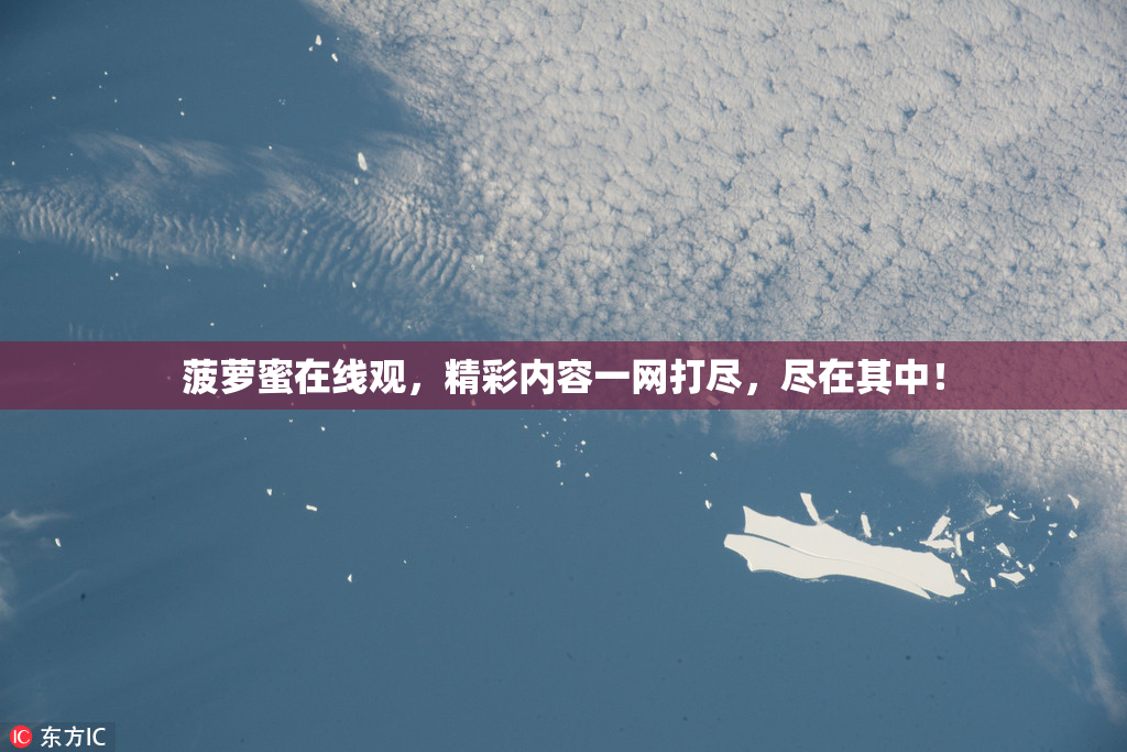 菠萝蜜在线观，精彩内容一网打尽，尽在其中！