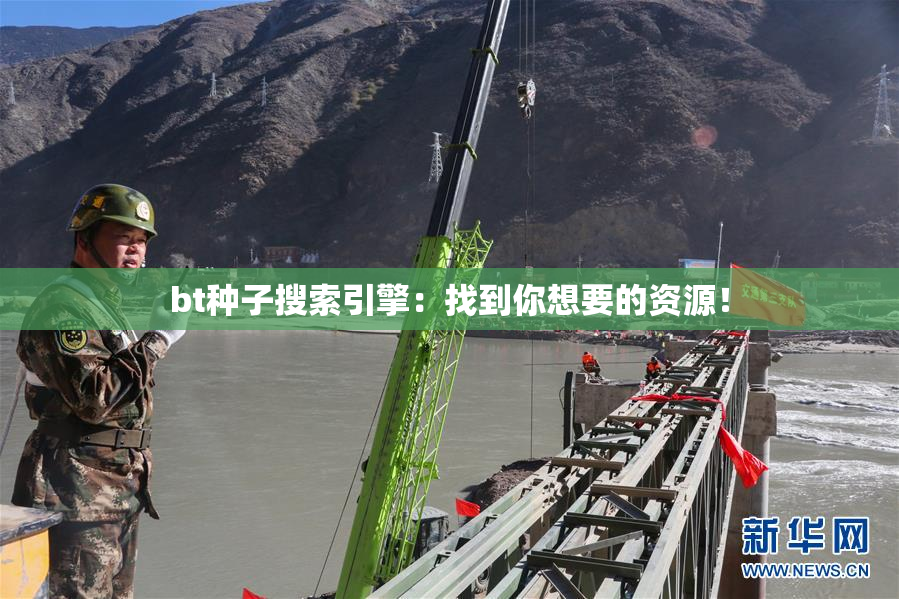 bt种子搜索引擎：找到你想要的资源！