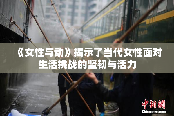 《女性与动》揭示了当代女性面对生活挑战的坚韧与活力