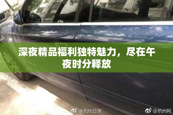 深夜精品福利独特魅力，尽在午夜时分释放