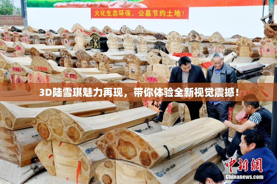 3D陆雪琪魅力再现，带你体验全新视觉震撼！