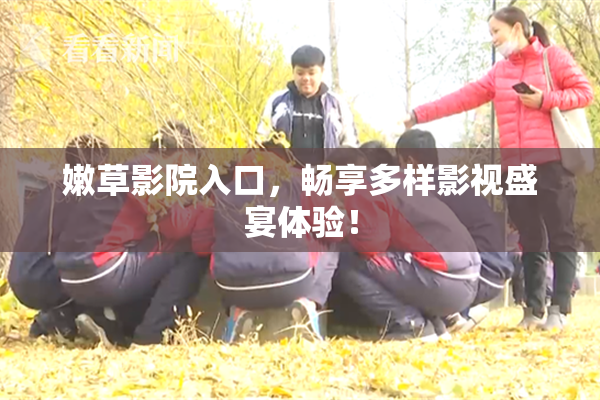 嫩草影院入口，畅享多样影视盛宴体验！