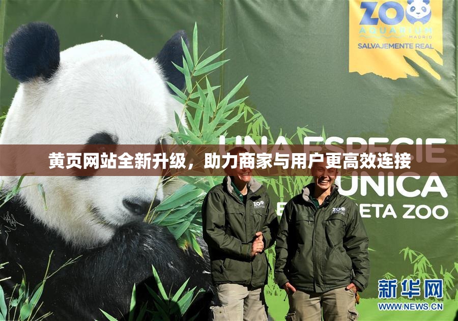 黄页网站全新升级，助力商家与用户更高效连接