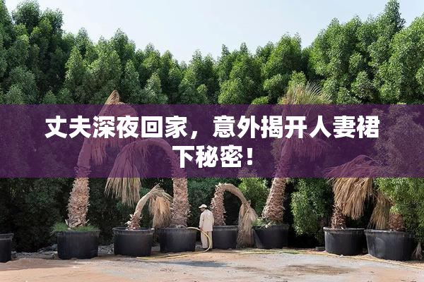 丈夫深夜回家，意外揭开人妻裙下秘密！
