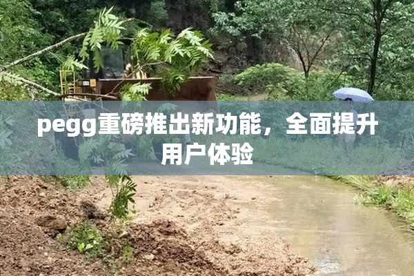 pegg重磅推出新功能，全面提升用户体验