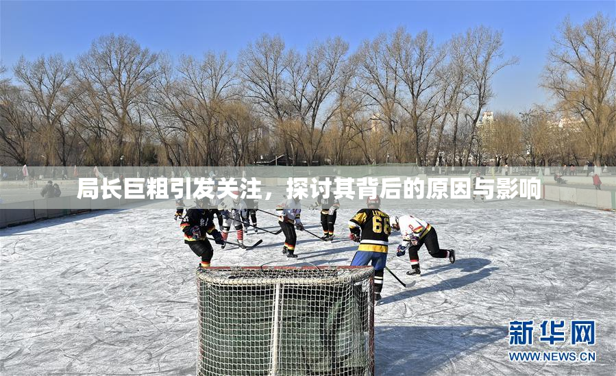 局长巨粗引发关注，探讨其背后的原因与影响