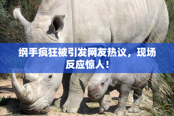 纲手疯狂被引发网友热议，现场反应惊人！