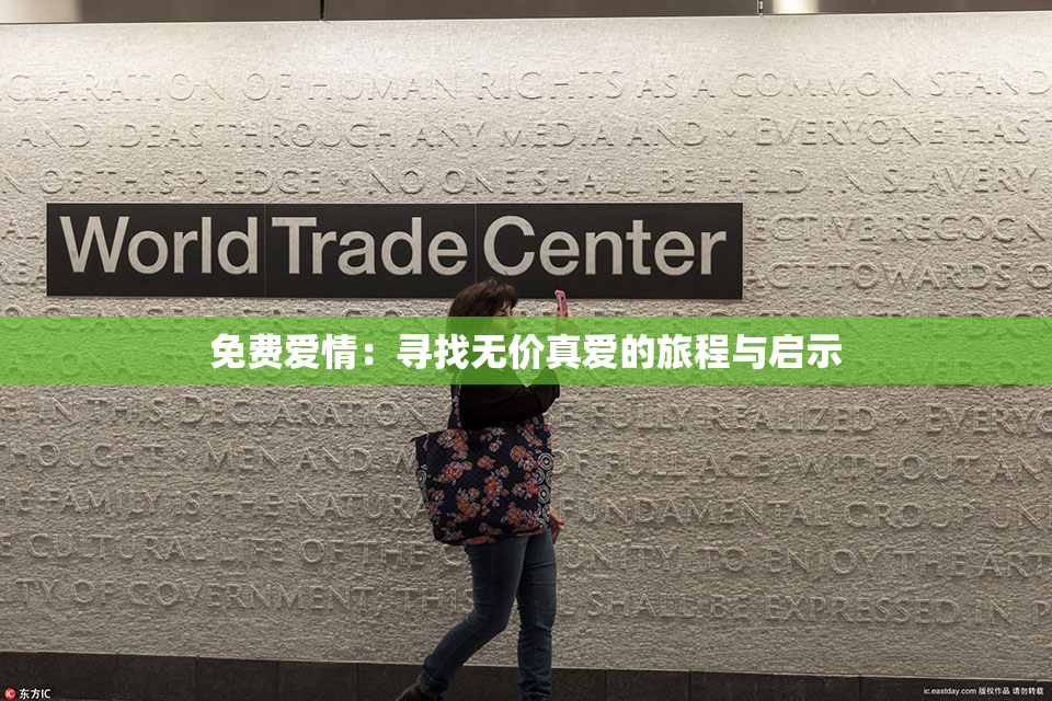 免费爱情：寻找无价真爱的旅程与启示