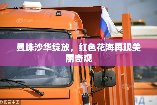 曼珠沙华绽放，红色花海再现美丽奇观