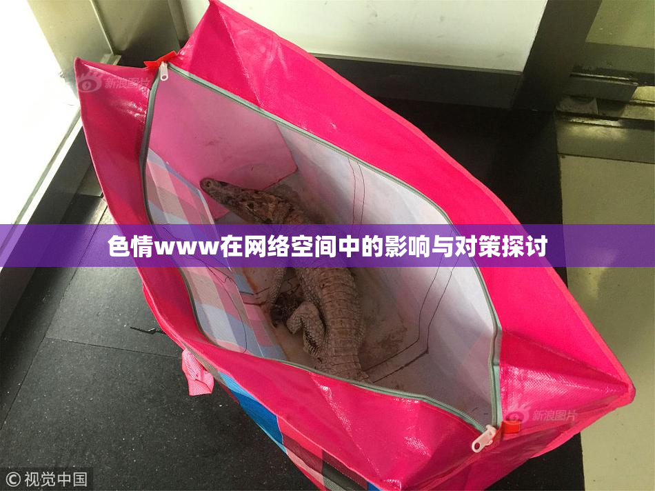 色情www在网络空间中的影响与对策探讨