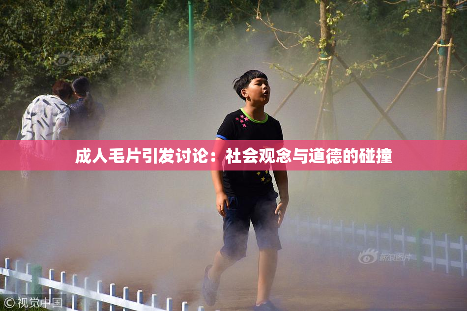 成人毛片引发讨论：社会观念与道德的碰撞