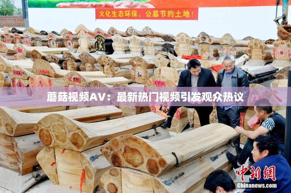 蘑菇视频AV：最新热门视频引发观众热议