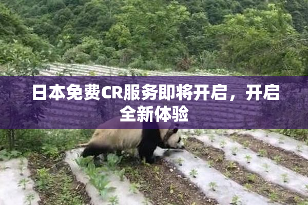 日本免费CR服务即将开启，开启全新体验
