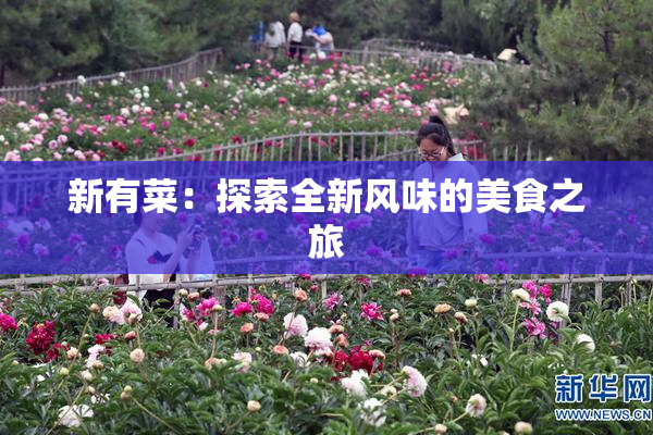 新有菜：探索全新风味的美食之旅