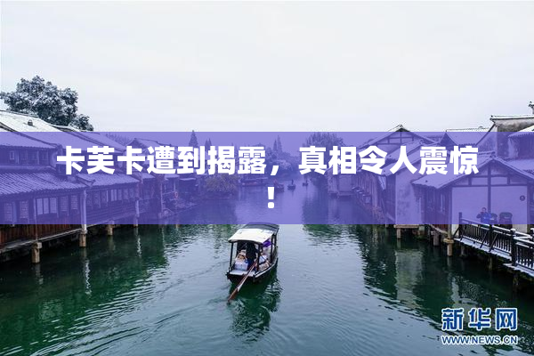 卡芙卡遭到揭露，真相令人震惊！