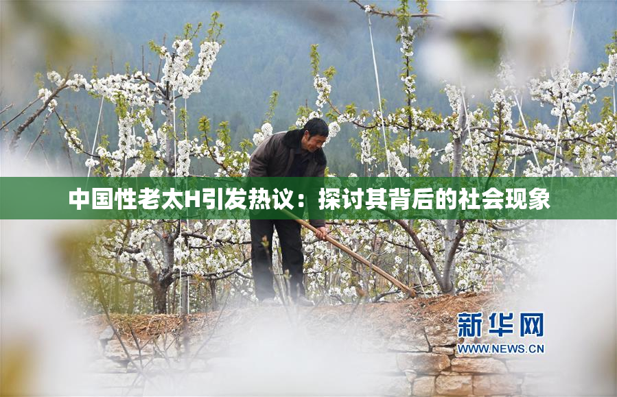 中国性老太H引发热议：探讨其背后的社会现象