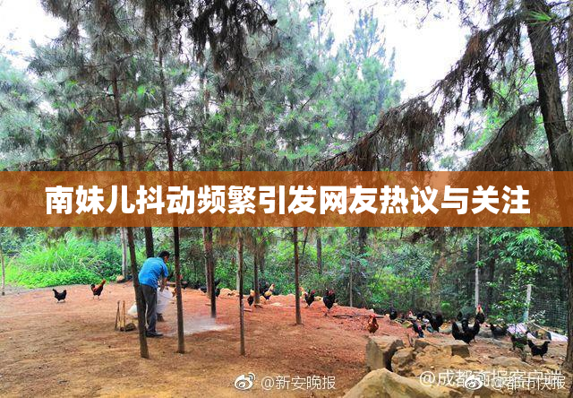 南妹儿抖动频繁引发网友热议与关注
