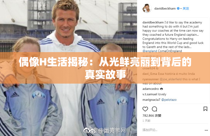 偶像H生活揭秘：从光鲜亮丽到背后的真实故事