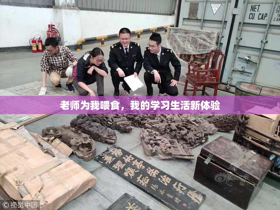 老师为我喂食，我的学习生活新体验