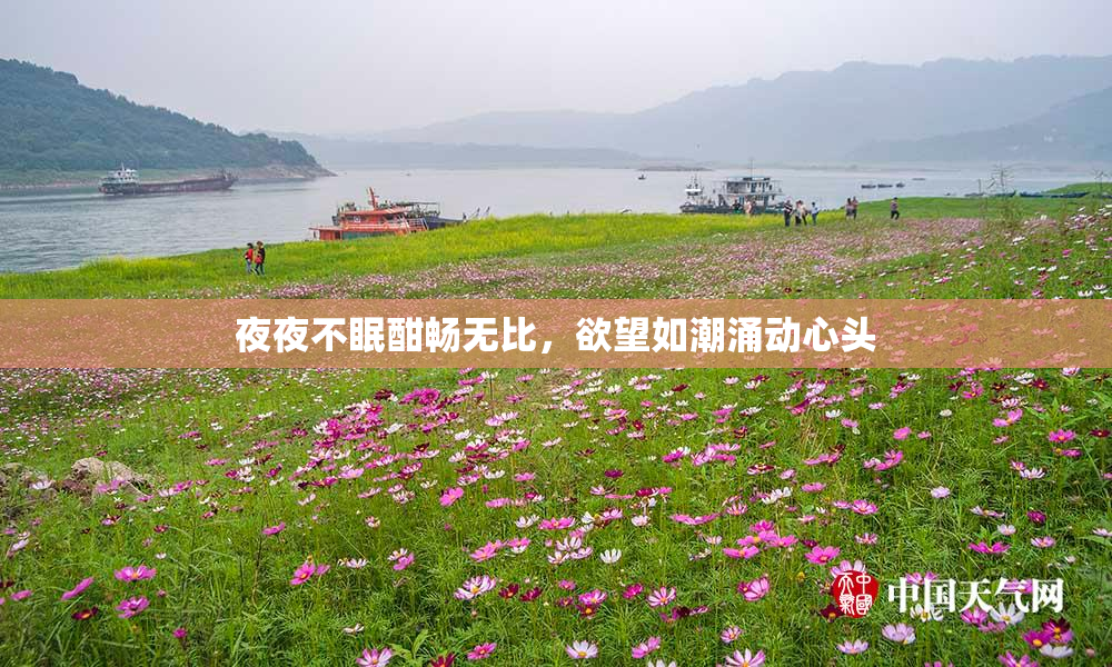夜夜不眠酣畅无比，欲望如潮涌动心头