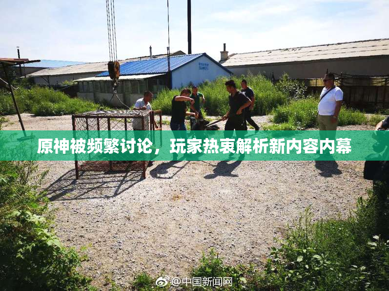 原神被频繁讨论，玩家热衷解析新内容内幕
