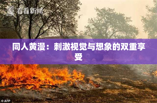 同人黄漫：刺激视觉与想象的双重享受