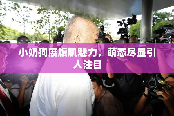 小奶狗展腹肌魅力，萌态尽显引人注目