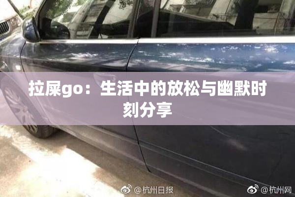 拉屎go：生活中的放松与幽默时刻分享