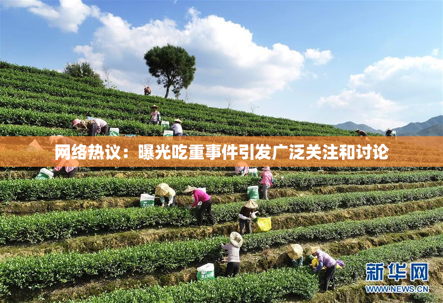 网络热议：曝光吃重事件引发广泛关注和讨论